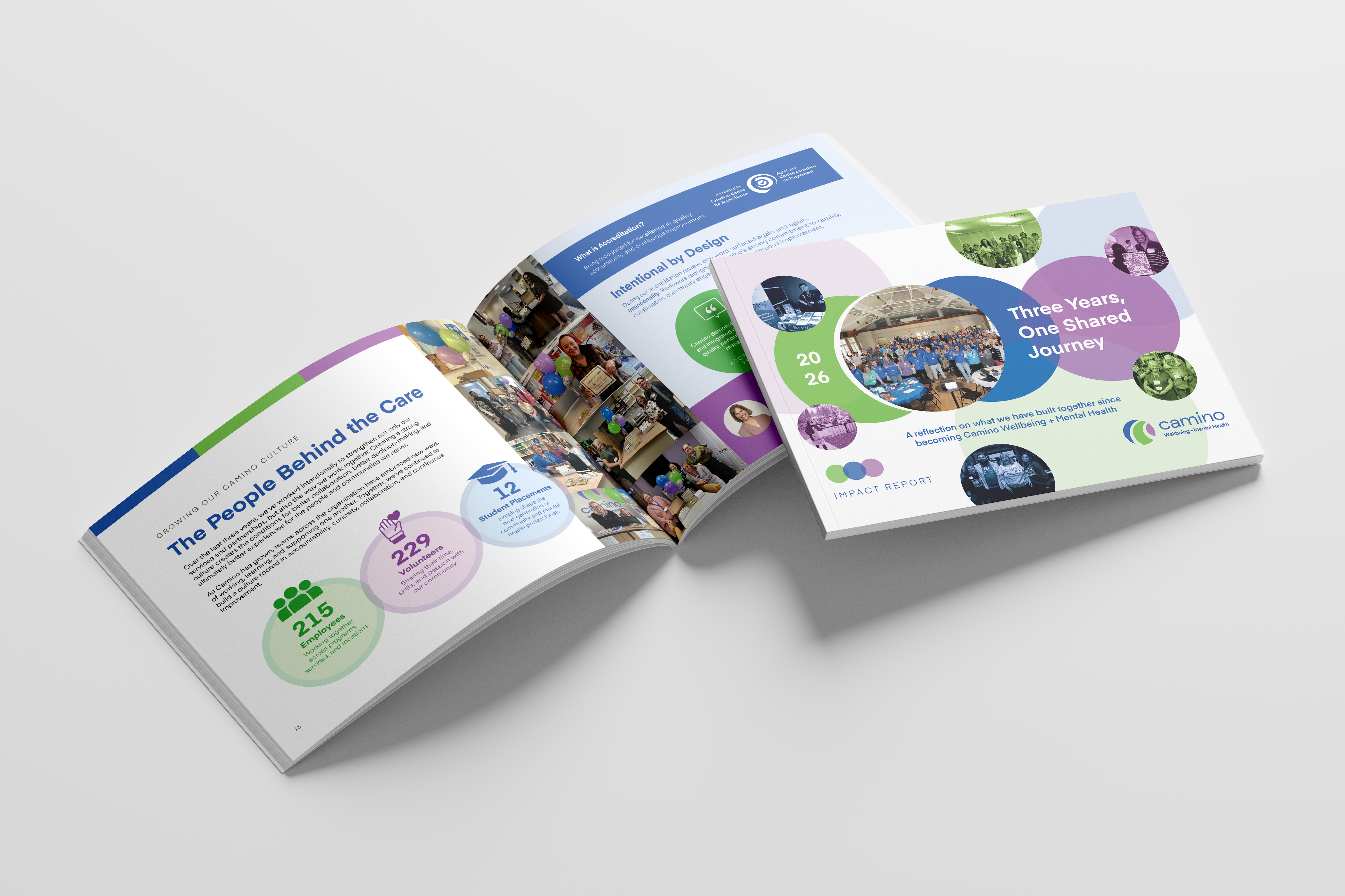 Impact Report 2026 Mockup