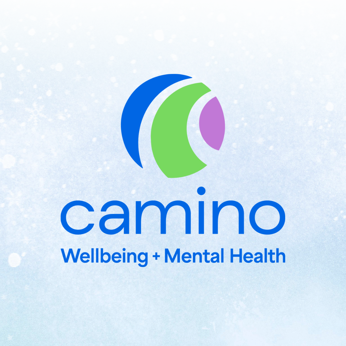 Inclement Weather website pop up graphic